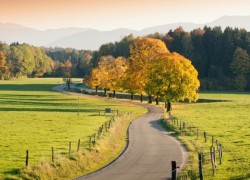 问鼎PG:打造个人品牌与影响力的途径 问鼎PG:打造个人品牌与影响力的途径